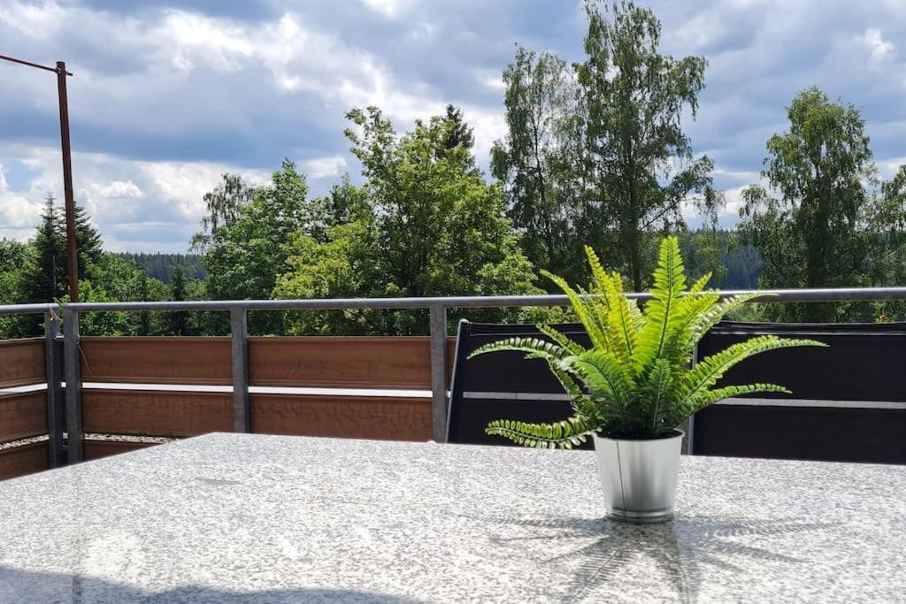 Pool, Sauna & Schwarzwald-Idylle Apartment Unterkirnach Exterior photo